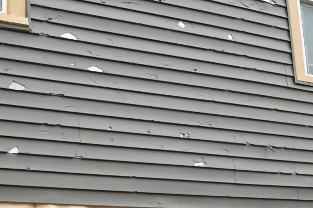 Best Historical Building Siding Restoration  in Ho Ho Kus, NJ