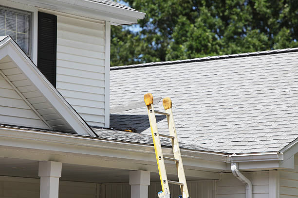 Best Steel Siding Installation  in Ho Ho Kus, NJ